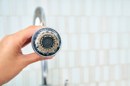 scale build-up on shower head